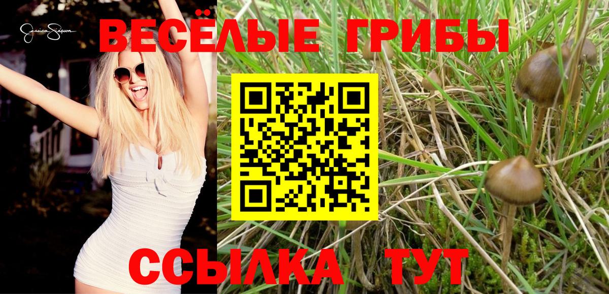 Стерлитамак  Галлюциногенные грибы Cubensis  Вход с VPN 